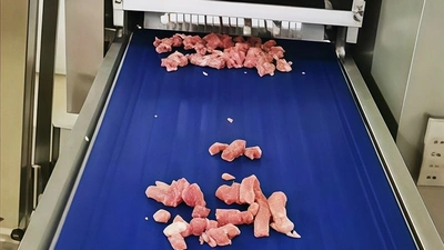 Línea de corte en cubos de carne deshuesada para Advanced Food Technology (Tailandia)