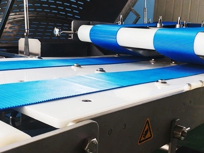 Cinta transportadora