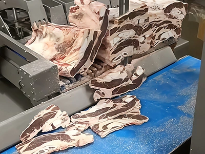 Costillas de res / cerdo