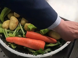 Rellenos de vegetales